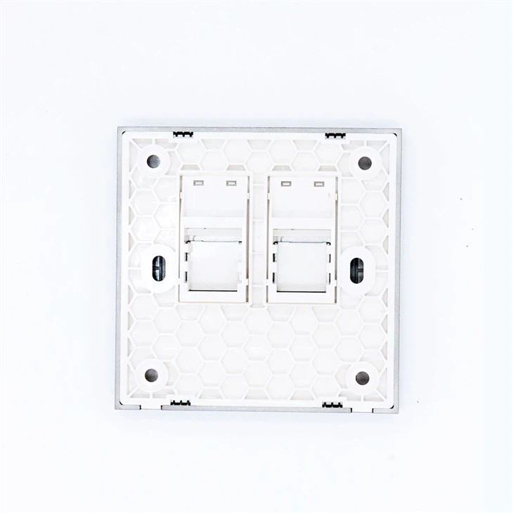 2 Port RJ45 Network Faceplate Keystone Plate