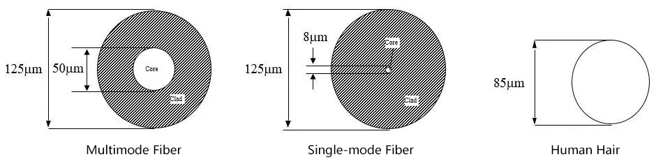Comparison OD diameter differences between Single-Mode And Multimode Fibers Comparison OD diameter differences between Single-Mode And Multimode Fibers